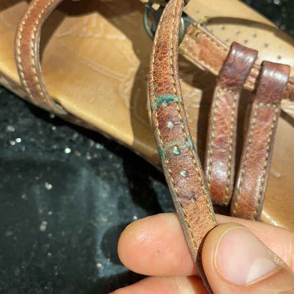 Meet your Posher, Joejoe - Picture 2 of 2